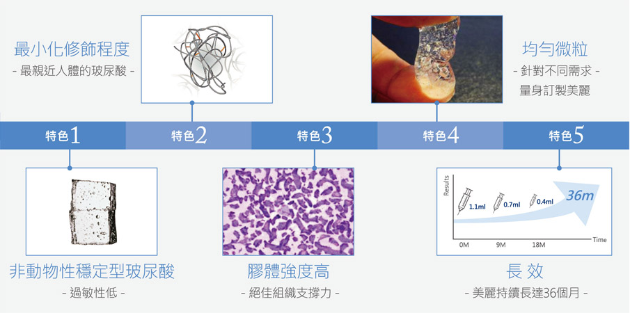 NASHA 與 OBT 專利技術與動態示意