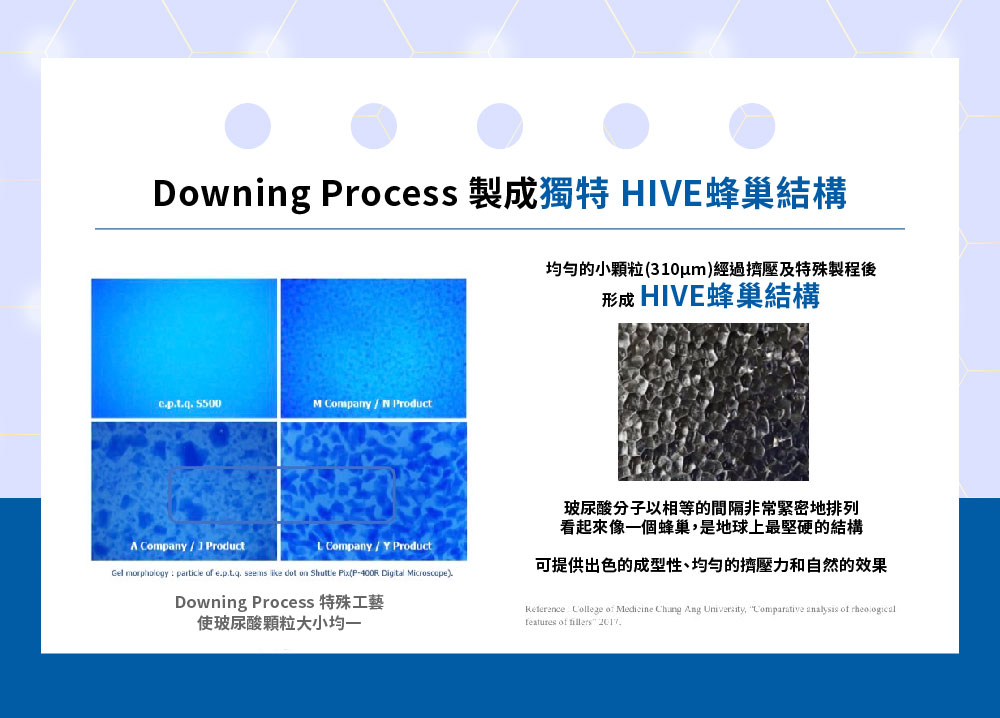 HIVE 蜂巢結構 Downing Process 技術示意