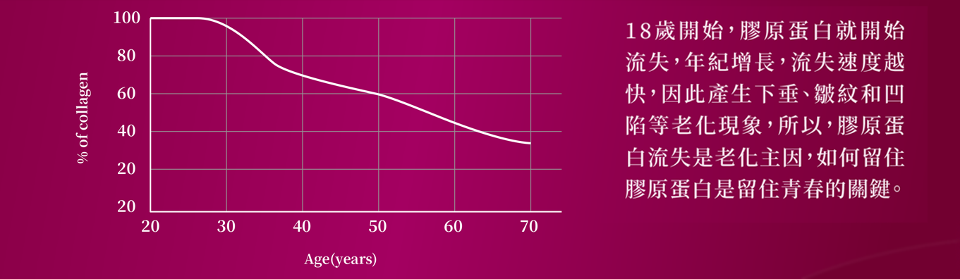 膠原蛋白流失曲線圖