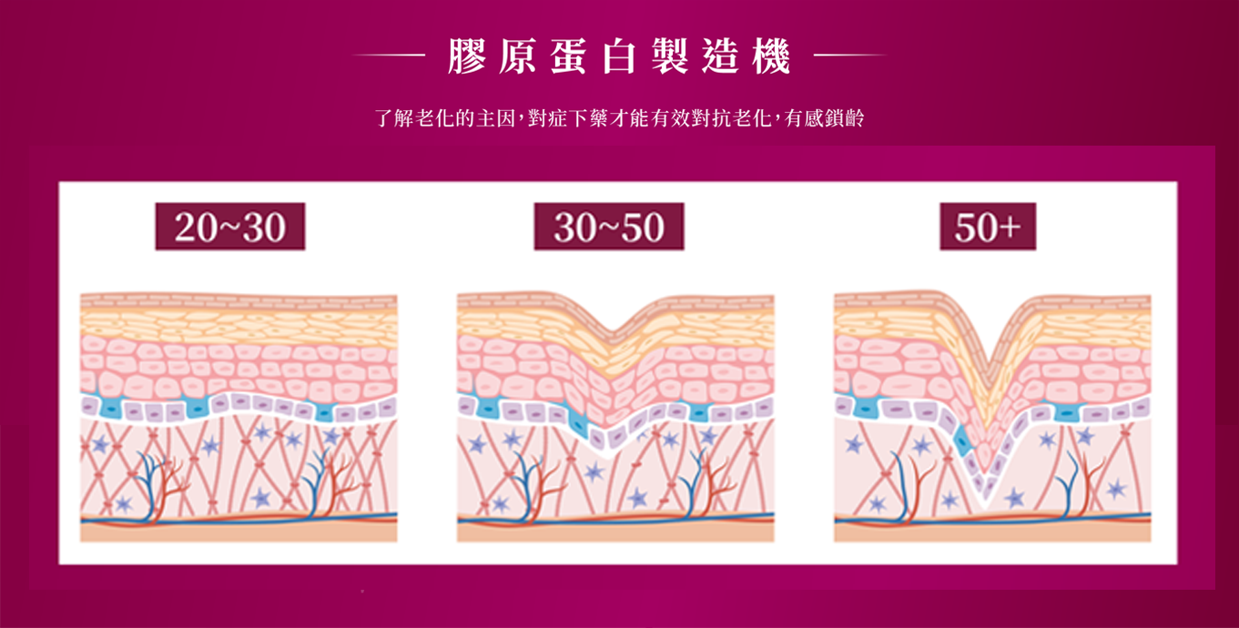 膠原重生示意圖