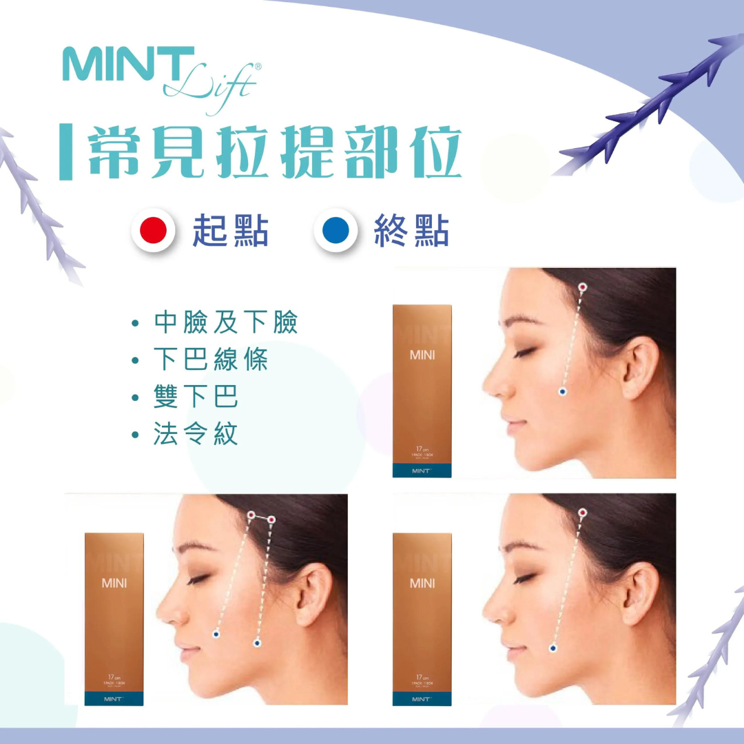 MINT Lift 系列示意圖